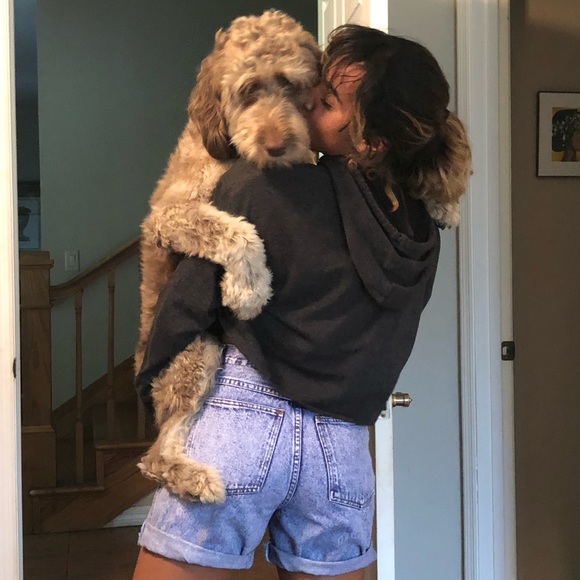 Meet your Posher, Olivia - Picture 7 of 8